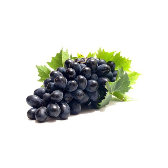 Untitled 1 RecoverWWWWWW 1 768x768.jpg 580x580