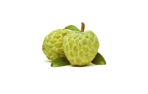 Untitled design 11 1 300x191 1