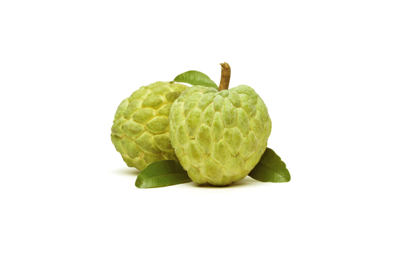 Untitled design 11 1 600x382 1 580x382