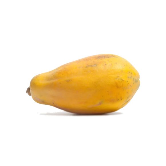 aq 1000x1000.jpg 580x580